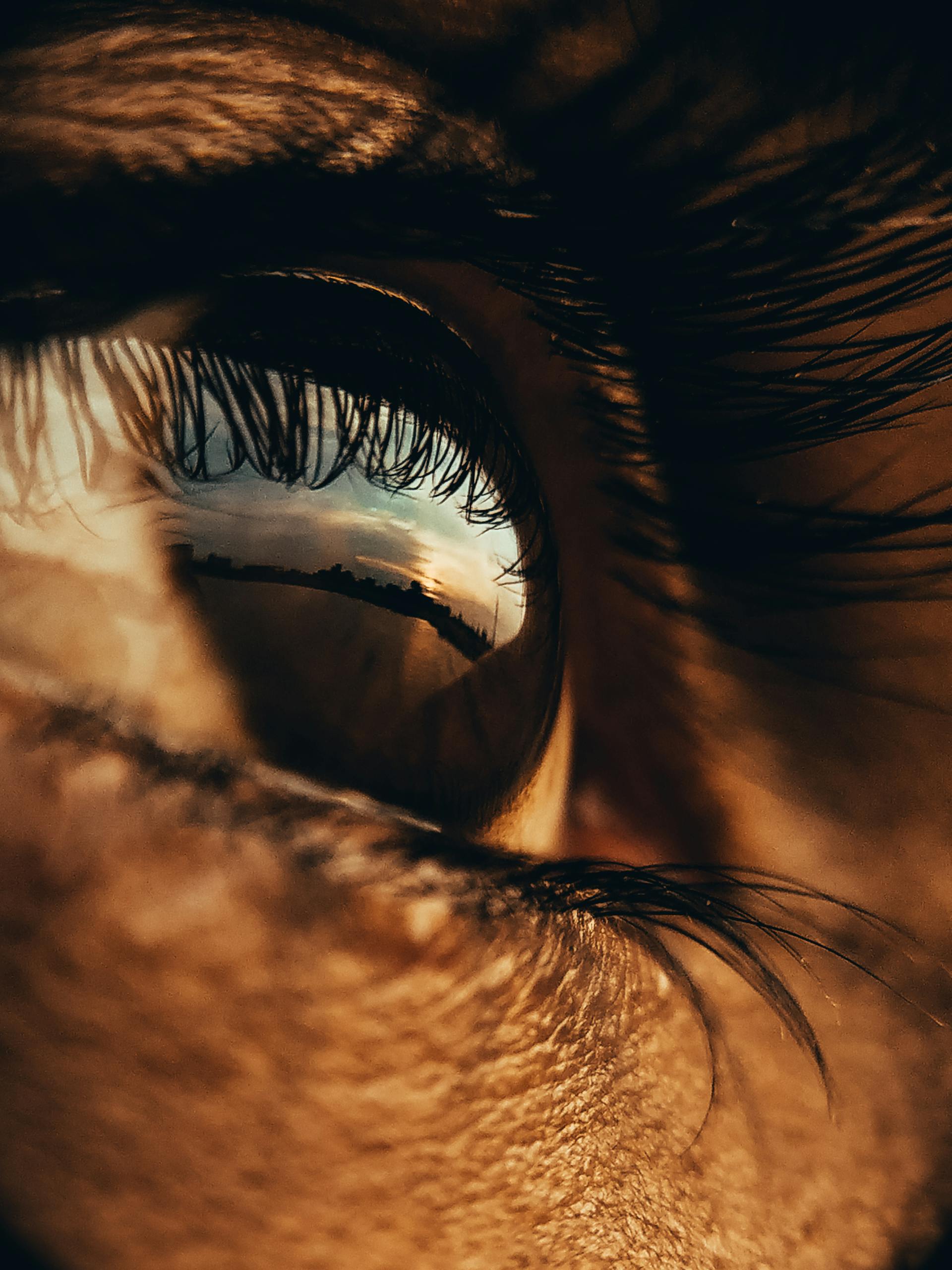 Detailed close-up of an eye reflecting a distant landscape, showcasing texture and emotion.